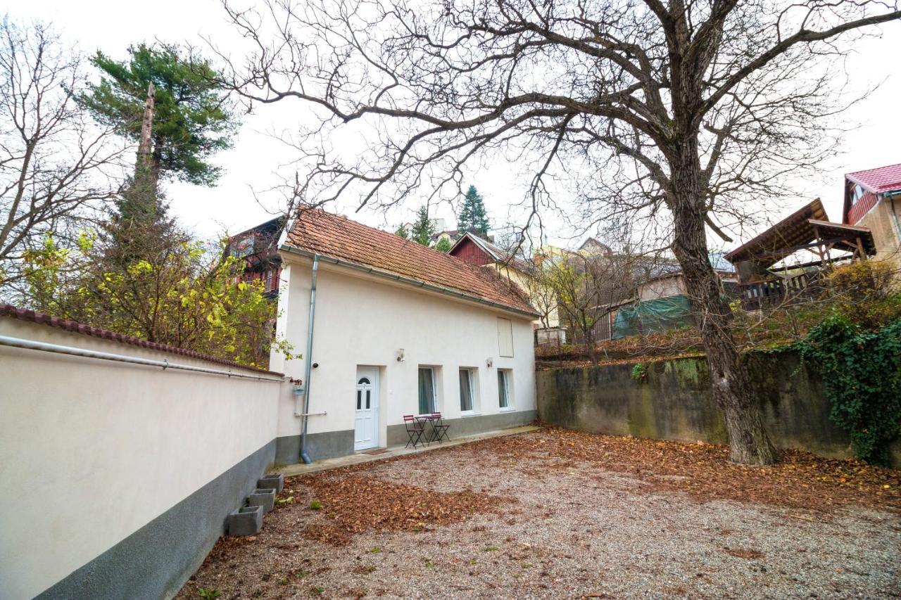 Crisan Residence - Vila Crisan Braşov Buitenkant foto